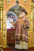 Не указано